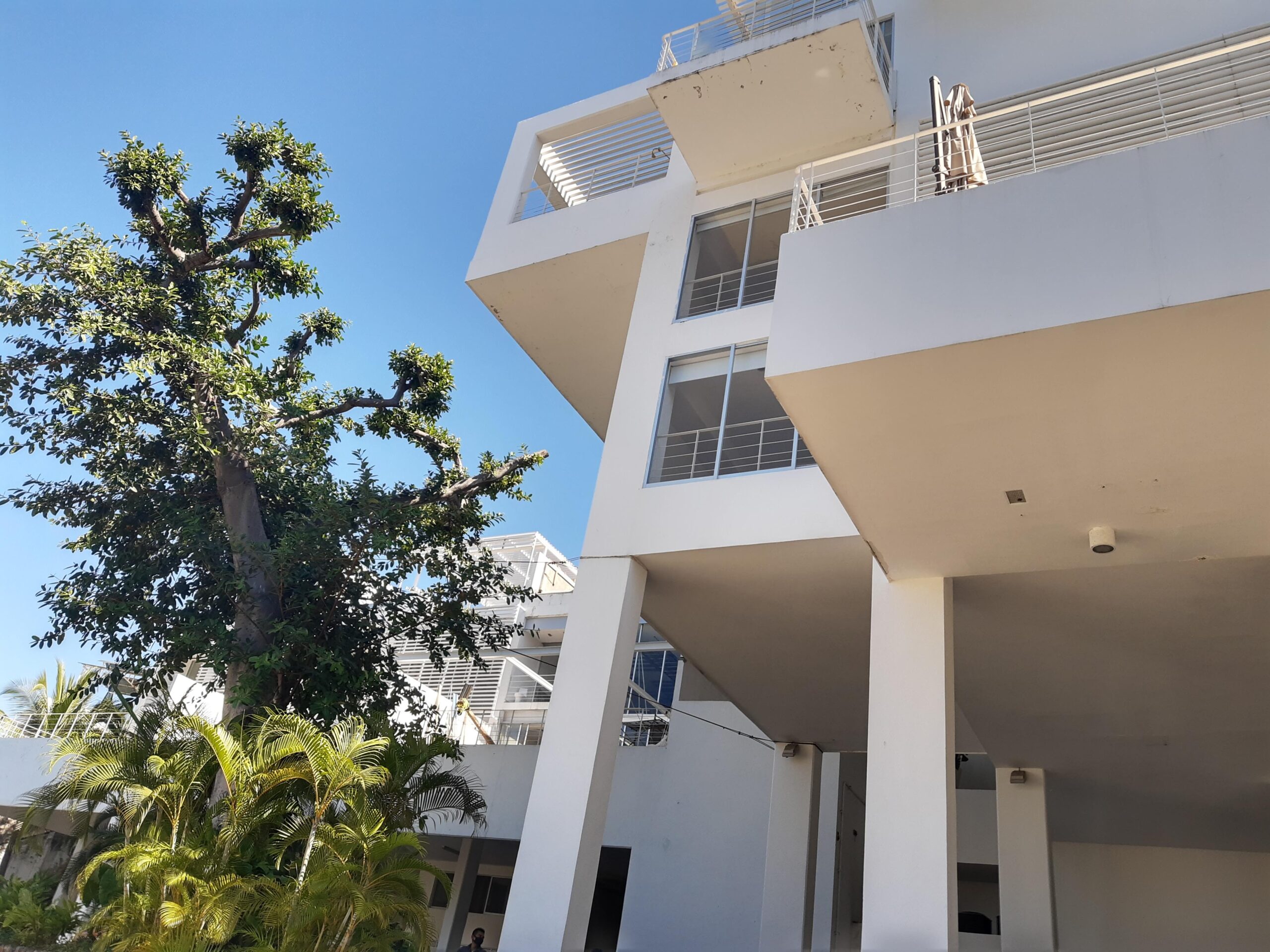 IMG_20201125_114234506_HDR